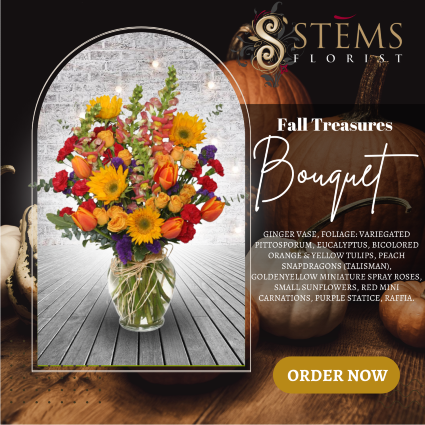 FALL TREASURES