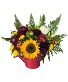 Fall Watering Can Designer's Choice