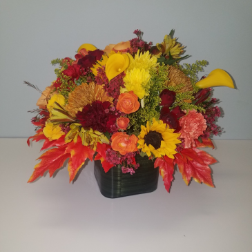 Fall Wishes