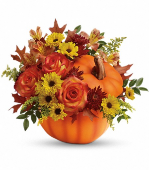 Fall Wishes Pumpkin Arrangement