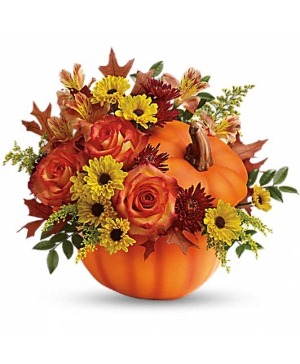 Fall Wishes Pumpkin Fresh arrangement in keepsake container