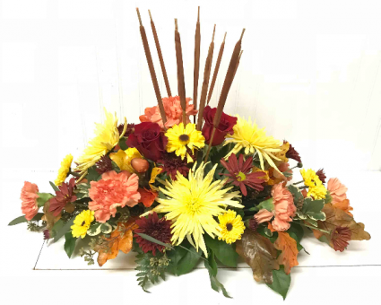 Fall Wonder