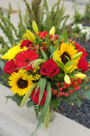 falling for sunflowers 