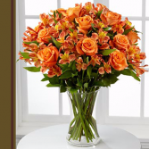 Falling For You  Roses