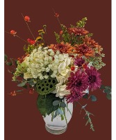 Falling in Love  Deal of the Week 