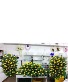 Purchase this funeral home arrangement