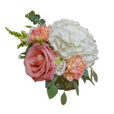 Category Image