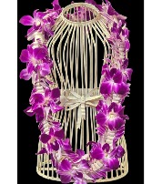 Fancy Lei Lei