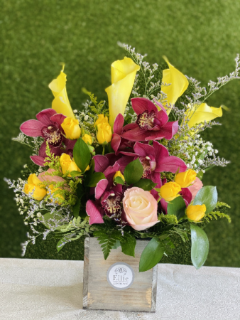 Max & Miles Tabletop Orchid - Shop Flowers & Arrangements at H-E-B