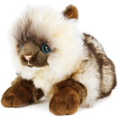 Fancy Persian Cat Gift