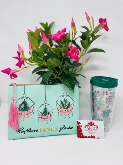 Fancy Plants Gift Bundle 