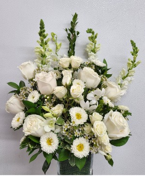 Fancy White  Any occasion 