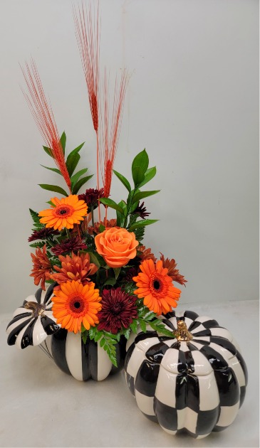 Fantasy Pumpkin in Troy, MI | DELLA'S MAPLE LANE FLORIST Fantasy Pumpkin in Troy, MI | DELLA'S MAPLE LANE FLORIST