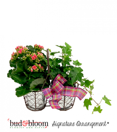 Farmhouse Blooms Bud & Bloom Signature Arrangement