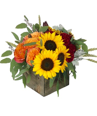 FARMHOUSE SUNRISE ARRANGEMENT