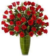 LUXURY ROSE BOUQUET 36 STEMS