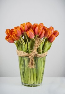 Fascination with Tulips Vased Arrangement Semi-Compact
