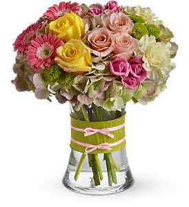 Fashionista Blooms SOLD OUT  Best Seller