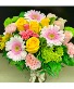 Fashionista  Vase arr 