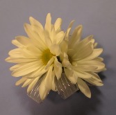 Father Daughter Dance Double Daisy Corsage 