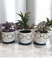 Father Day Plant Planter