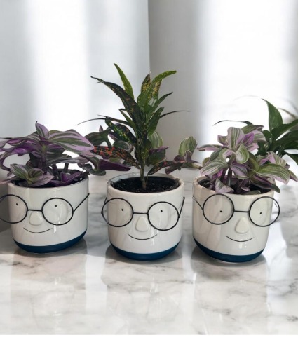 Father Day Plant Planter