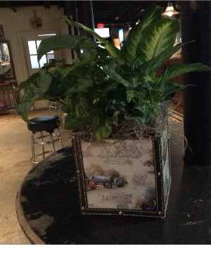 Father’s Day Car planter Fathers day