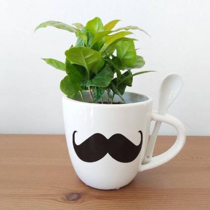Coffee Plant for Him Planter