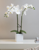 Faux Double stem White Potted Orchid Silk Flowers