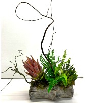 Faux fern & Protea Arrangement in Cement Log  