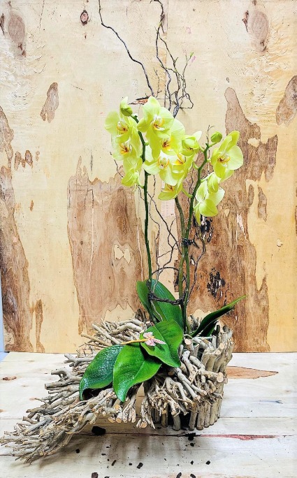Faux Orchids & Twigs 