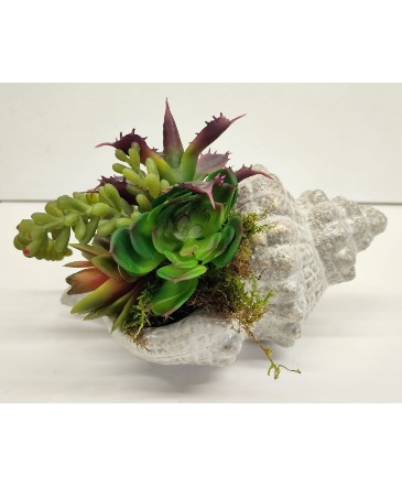 Faux Succulent in Ceramic Seashell  in Palm Coast, FL | HAMMOCK GARDENS FLORIST