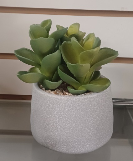 Faux Succulent in Pot 