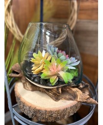 Faux Succulent Open Terrarium Home Decor