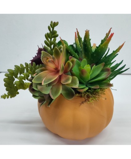 Faux Succulent Pumpkin Arrangement 