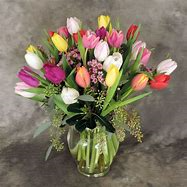 Favorite tulips Multicolored tulips