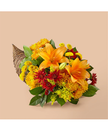 Feast Of Color V5588S Cornucopia in Fort Worth, TX | DARLA'S FLORIST