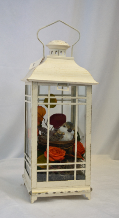 FEATHER FRIEND LANTERN Flower Arrangement