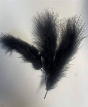 Feather - Prom 