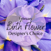 February Birth Flower Designer's Choice Designer's Choice