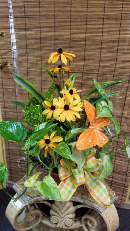 Feel Good Dish Garden 