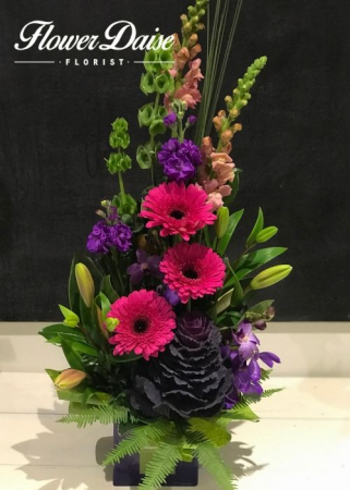 Felicity Arrangement