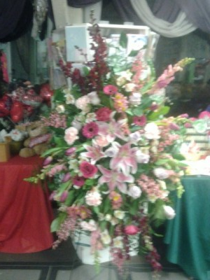 Feminine Floral Spray Dodo Designers Choice
