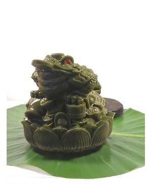Feng Shui Money Toad 