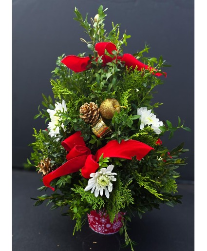 FESTIVE BOXWOOD TREE FRESH