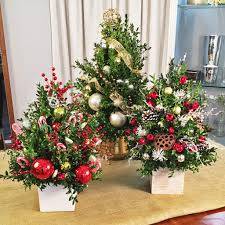 Festive Boxwood Trees One Fully Decorated Fresh Boxwood in Sunbury, PA | WOODLAND GATHERINGS Festive Boxwood Trees One Fully Decorated Fresh Boxwood in Sunbury, PA | WOODLAND GATHERINGS
