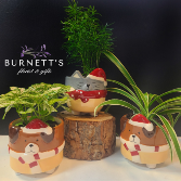 Festive Cats & Dogs Planter