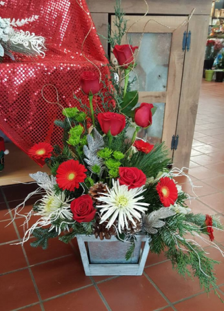 Festive Christmas Arrangement