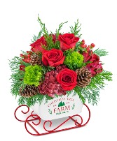 Festive Cranberry Keepsake Sleigh Flower Arrangement