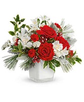 Festive Elegance Christmas